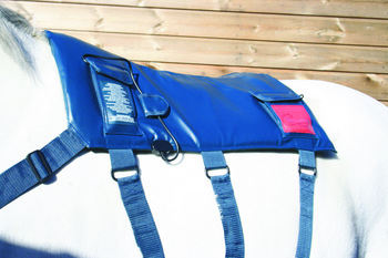 Win an Equilibrium Therapy Massage Pad Win an Equilibrium Therapy Massage Pad